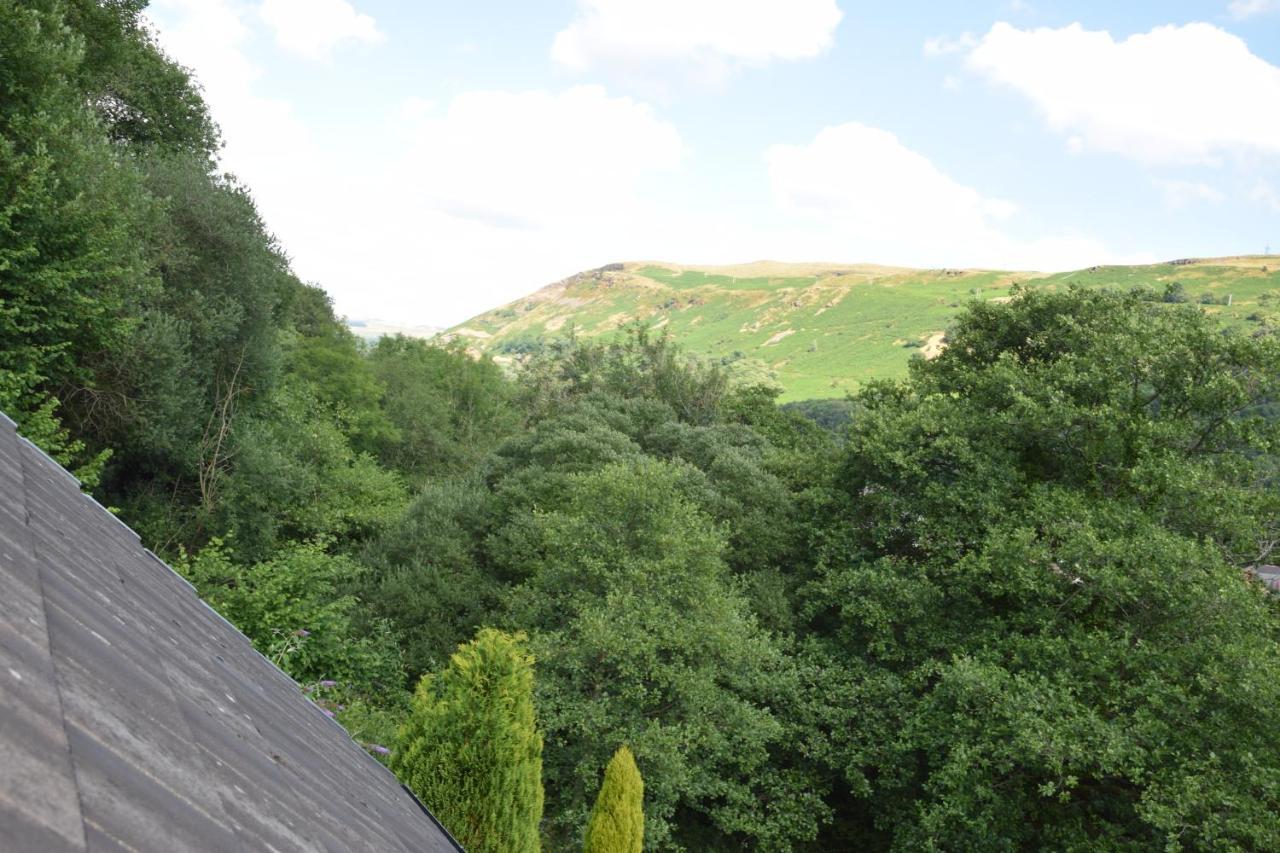斯旺西Cilbrwyn住宿加早餐旅馆 外观 照片