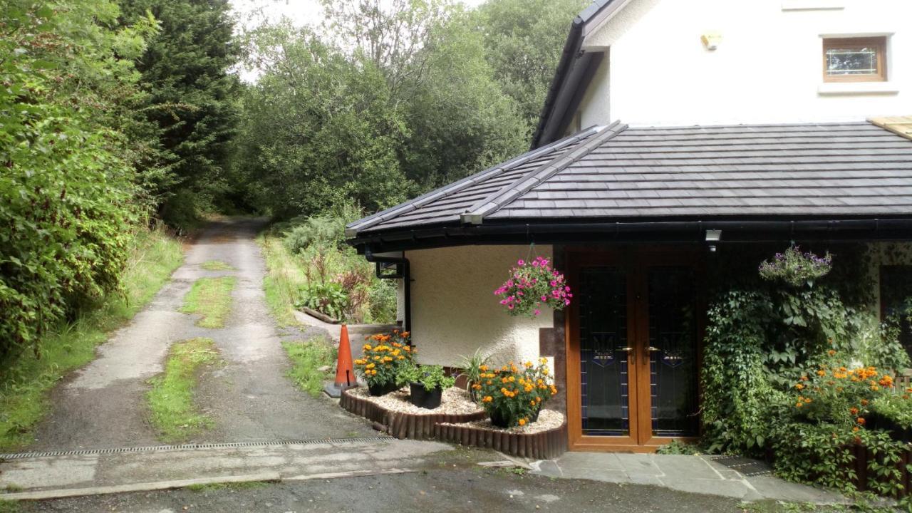 斯旺西Cilbrwyn住宿加早餐旅馆 外观 照片
